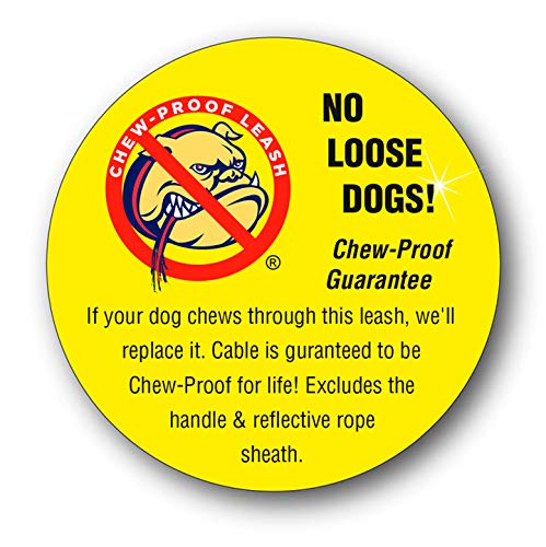Chew Proof Dog Leash, 30" Medium Duty with Padded Handle and Reflective Black/Blue/Silver Weave Poly Sheath - Alpine Outfitters