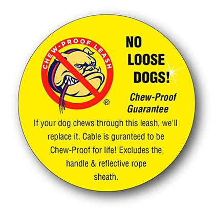 Chew Proof Dog Leash, 30" Medium Duty with Padded Handle and Reflective Black/Blue/Silver Weave Poly Sheath - Alpine Outfitters