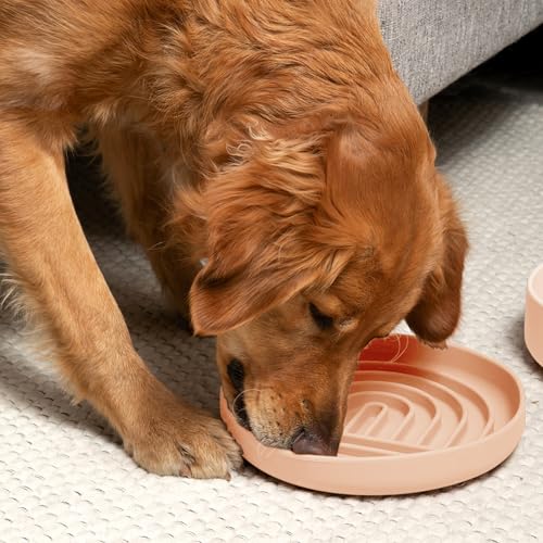 Should We Go? Slow Feeder for Dogs & Puppies, The Slowdown Bowl Silicone Slow Eating, Modern Lick Mat Design, Reduces Gulping, Fits 2.5 Cups, 9.5” Across x 1.5” Tall, Mealtime Challenge, Large-Blush - color: Blush - Rainbow Design, size: Large (9.5” Acros