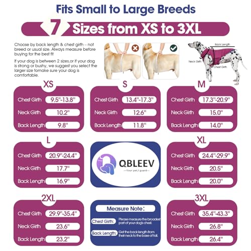 QBLEEV Reversible Dog Coat for Medium Dogs, Waterproof Windproof Winter Jacket Keeps Dogs Warm in Snow, Adjustable Hook & Loop Lightweight Dog Puffer Vest, Purple, L – Fits French Bulldog - color: Violet-Blue, size: Large