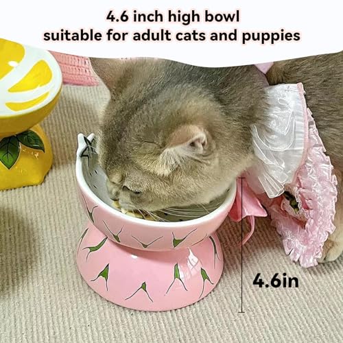 Hamiledyi Ceramic Raised Cat Bowl Anti Vomiting Elevated Tilted Cat Food & Water Bowls 2PCS Pet Feeder Dish for Indoor Kitty and Small Dogs(Lemons & Pitaya)
