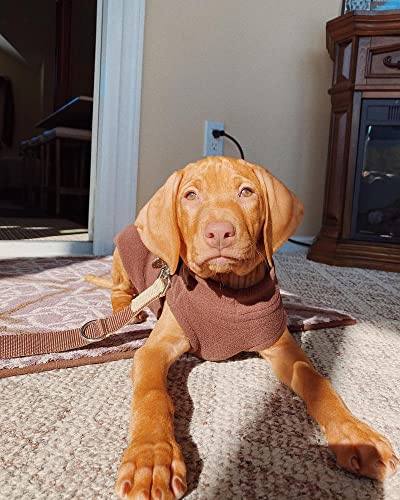 Gooby Stretch Fleece Vest Dog Sweater - Brown, X-Small - Warm Pullover Super Stretchy Fleece Dog Jacket for Small to Large Dogs - color: Brown, size: X-Small Length (7")