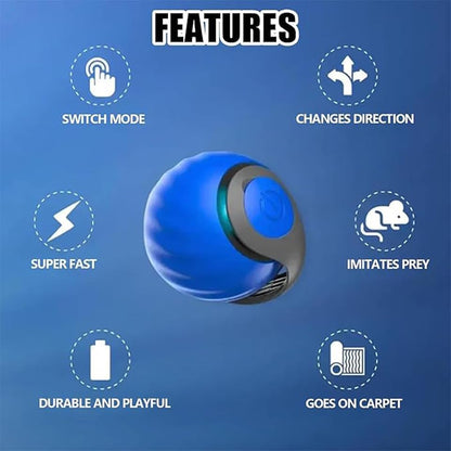 Interactive Cat Toy Ball,Speedy Tail2.0 Cat Toy,Automatic Interactive Cat Toys for Indoor Cats with 2 Tails,2Speeds Rechargeable Cat Enrichment Toys for Small/Medium/Large Cats to Keep Them Busy(Blue) - color: Blue