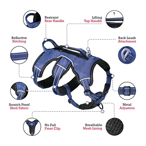 Tuff Pupper Escape Proof No Escape Dog Harness | 5 Point Adjustable Fit Harness for Dogs | Padded Dog Harnesses | Handle Dog Lift Harnesses - color: Midnight Blue, size: Small