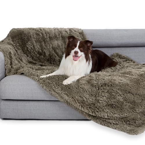 gogobunny Waterproof Dog Blanket for Couch & Furniture Protection - Super Soft Reversible Throw for Large Dogs & Cats, Calming Washable Fur & Sherpa Pet Blanket (33x77 Inch, Stone) - color: Stone, size: 33x77 Inch (Pack of 1)