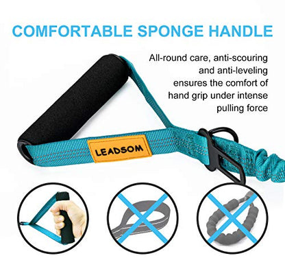6FT Highly Reflective Heavy Duty Elastic Bungee Medium and Large Dog Leash Shock Absorbing with Comfortable Padded Handle and Traffic Handle Suitable for Training - color: Teal