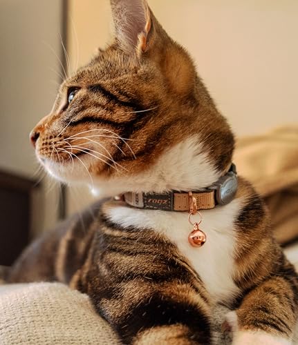 Rogz Urban Cat Safety Collar Small/Medium - Pink Blush - color: Pink Blush