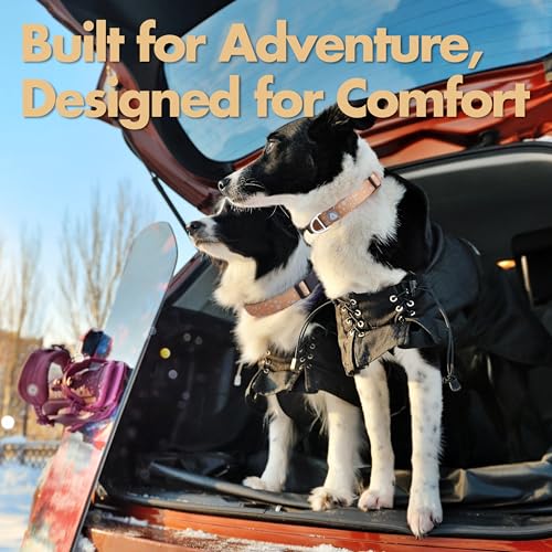 Fall Dog Collar, Cute Star Pattern Brown Collars for Girl & Boy, Reflective,Soft Padded Neoprene,Fully Adjustable,Durable & Lightweight Small Dog Collar, (Star, S) - color: Star, size: S (Neck 9''– 14'')