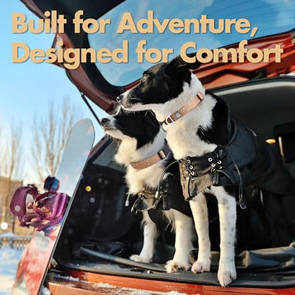 Fall Dog Collar, Cute Star Pattern Brown Collars for Girl & Boy, Reflective,Soft Padded Neoprene,Fully Adjustable,Durable & Lightweight Small Dog Collar, (Star, S) - color: Star, size: S (Neck 9''– 14'')
