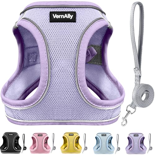 Sparkly Dog Harness Small Sized and Leash Set for Small Dogs Cats,Purple XXS Puppy Harness, Step in Soft Dog Reflective Vest, Breathable Mesh Pet Harness. (Purple, XXS) - color: Purple, size: XXS