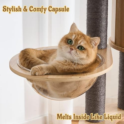 Modern Cat Tree Tower with Scratching Post, 61.5in Tall Cat Tree for Indoor Cats, Multi-Level Solid Wood Cat Furniture with Ladder, Cozy Cat Beds, Cat Condo, Capsule Nest, Dangling Toy, Gray - color: 61.5"Gray