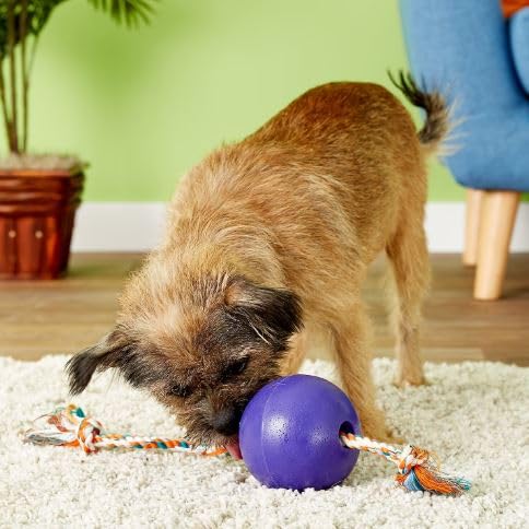 Jolly Pets Romp-n-Roll Rope and Ball Dog Toy, 4.5 Inches/Small, Purple, 4.5-Inch Romp-n-Roll, Purple - color: Purple, size: Small (4.5 in)