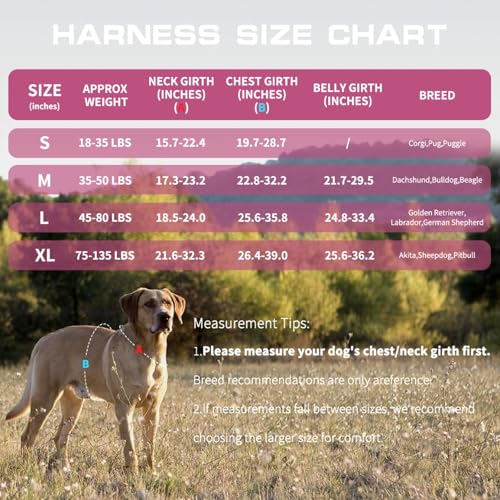 Small Dog Harness, Heavy Duty Tactical No Pull Dog Harness, No Choke, Easy On and Off Pet Vest with Molle System, Adjustable Reflective Dog Vest with Breathable Padded for Walking Hiking Training - color: Pink, size: S(Neck:16-22",Chest:20-28"),18-35 lbs
