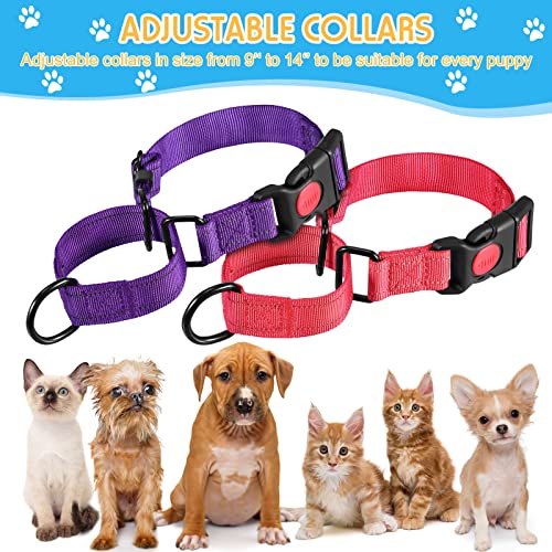 6 Pcs Multicolor Nylon Martingale Dog Collar Adjustable Martingale Collar with Buckle Small Training Collar for Dogs Puppy Collar for Dogs Puppy Training