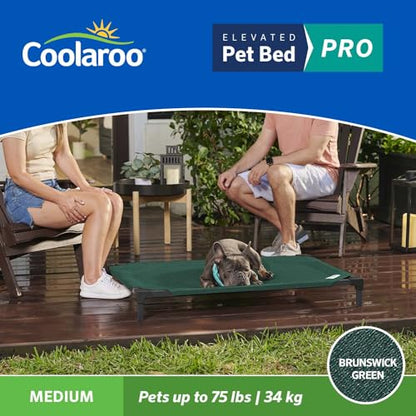 Coolaroo Pro Elevated Dog Bed - Low-Profile Access, Moisture-Resistant Cover, Breathable Fabric & Tool-Free Setup, Brunswick Green, Medium - color: Brunswick Green, size: Medium