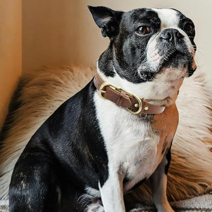 Custom Leather Dog Collar with Name Plate - Personalized Collar for Dogs with Laser-Engraved Nameplate - PU Faux Leather with Neoprene Lining (Green, XL (18-22 Inches)) - color: Green, size: XL (18-22 Inches)