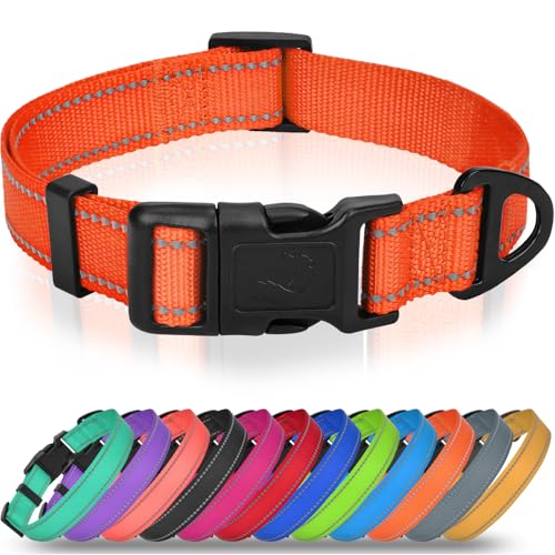 Joytale Small Dog Collar, Durable Double-Sided Reflective Nylon Collar for Night Safety, Adjustable Quick-Release for Active Breeds, Orange, S (3/4" Width) - color: Orange, size: S+: Width 3/4", Neck 10-16"