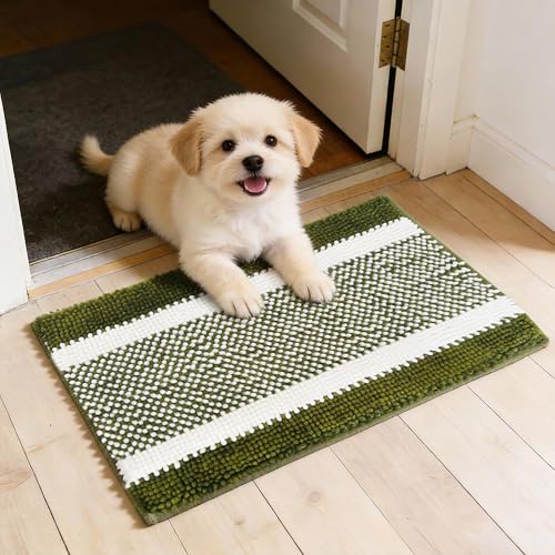 Dog Door Mat for Muddy Paws - Absorbent Quick-Dry Non-Slip Washable Chenille Pet Rug, Indoor Entryway Mat for Front Door & Crate (Green White, 24" L*16" W) - color: Green White, size: 24"L*16"W