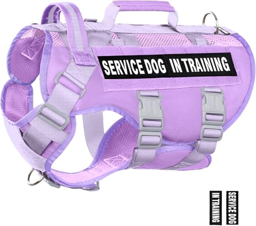Service Dog Vest for Large Dogs, Purple Tactical Harness with Military MOLLE, Breathable Mesh & 39g Metal Buckle - Size M for Training & Hiking - color: Purple, size: M