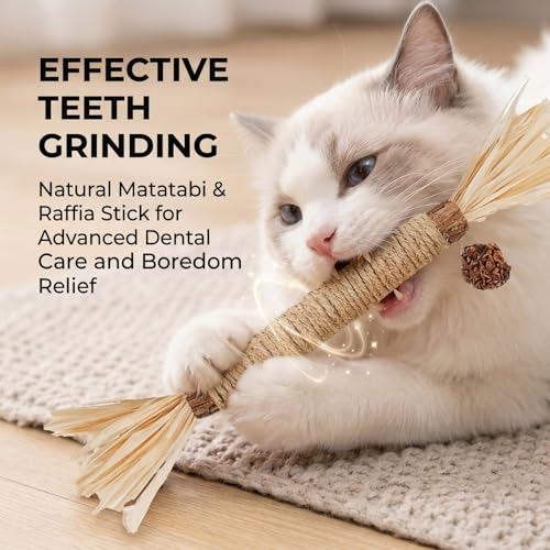 Cat Toys,6PCS Kitten Toys for Indoor Cats Catnip Toy for Chewing Silvervine Stick for Cleaning Teeth Kitty Dental Treat Interactive Toy Kitty Snack Self Play Wand Cat Mint Lick