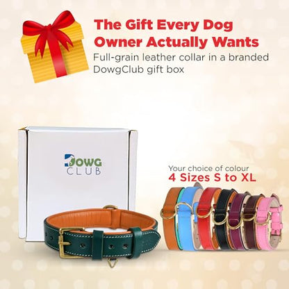 Genuine Leather Dog Collar – 1" Wide Full Grain, Padded, Heavy Duty with Brass Buckle for Small, Medium, Large, XL Dogs (Medium (Fit Neck Size 14.5"-18.5"), Brown) - color: Brown, size: M (Fit Neck Size 14.5"-18.5")
