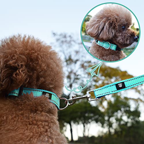 Dog Collar and Leash Set,Reflective Dog Collars with Quick Release Buckle,Adjustable Nylon Pet Collar for Small Medium Large Dogs(Medium,Teal) - color: Teal, size: Medium