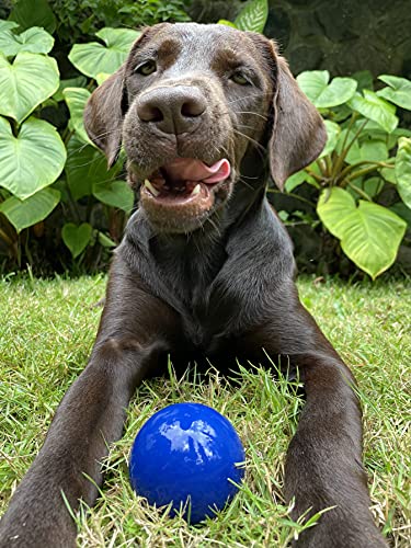 Tuff Pupper SuperChewer Tough Dog Ball Toy | Lifetime Replacement | Strong Natural Rubber | Great Dog Fetch Toy | Chew Toys for Dogs | Ultra Durable Chew Toys for Aggressive Chewers | for All Breeds - size: Medium - 2.5 Inch / 8 oz