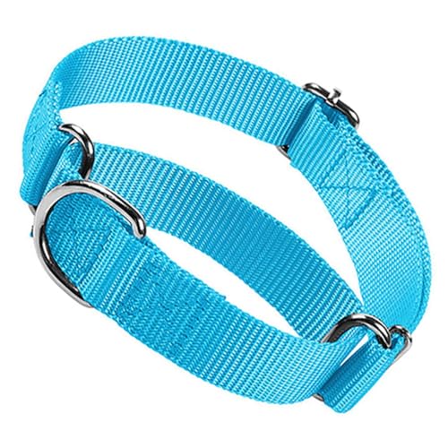 Martingale Collar for Dogs,Soft Nylon Dog Choke Collar, No Pull Slip Cinch Training Escape Proof Dog Collar Adjustable for Small Medium Large Pet Girl Female Dogs,Light Blue S - color: Light Blue, size: S(Neck 10-14")