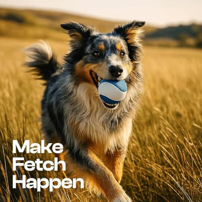 Squeaky Dog Toy – Durable Rubber Dog Ball for Medium & Large Dogs, Tough Interactive Fetch Toy for Chewers, Outdoor Training & Play Ball, Floating Water Play Gift.Ocean - color: Ocean
