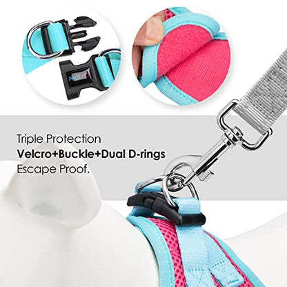 PHOEPET Step-in Dog Harness,Reflective Adjustable Dog Vest Harness, Soft Pet Walking Jacket with 2 Metal Leash Hooks for Dog and Cat(Pink Base & Green Straps,XL) - color: Pink Base & Green Straps, size: XL (Neck: 13.5-15.5”,Chest: 18-20.5”)