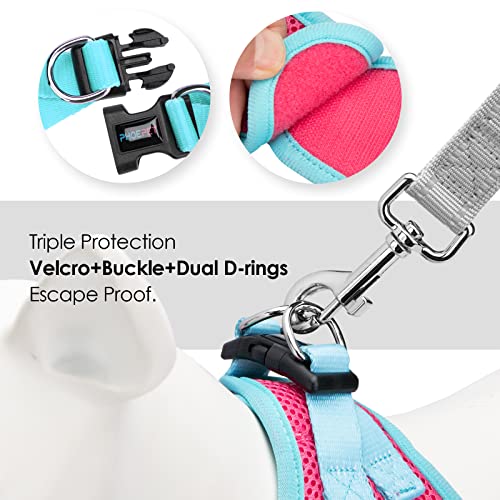 PHOEPET Step-in Dog Harness,Reflective Adjustable Dog Vest Harness, Soft Pet Walking Jacket with 2 Metal Leash Hooks for Dog and Cat(Pink Base & Green Straps,M) - color: Pink Base & Green Straps, size: M (Neck: 11-12”,Chest: 14.5-16”)