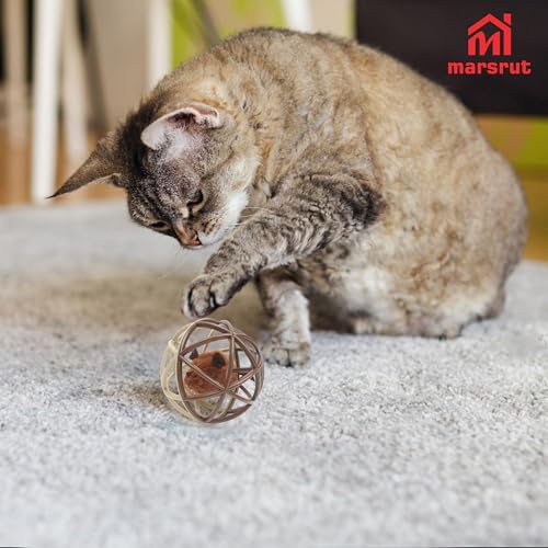 Squeaky Mouse Ball Cat Toy with Simulated Sound, Mouse Inside Cage, Squeky Balls for Cats to Play with Indoor, Squeak Interactive Plastic Funny Toys Best for Chewing Training Playing Chasing (Beige)