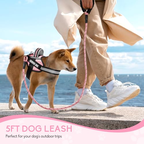 Service Dog Vest Harness and Leash Set, Animire in Training Dog Harness with 10 Dog Patches, Reflective Dog Leash with Soft Padded Handle for Small, Medium, Large, and Extra-Large Dogs - color: Pink, size: XXS