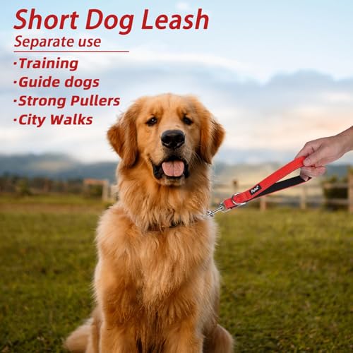 PUPTECK Chew Proof Dog Leash with Detachable Short Leashes Padded Handle Reflective, Heavy Duty Steel Cable Lead for Small Medium Large Dogs Training Walking, Red 4.9ft - color: Red