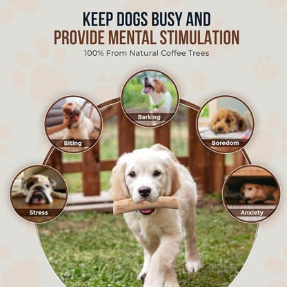 Coffee Wood Dog Chew Sticks 6.5" & Dog Rope Toys for Puppy - 100% Natural Puppy Chew for Teething, Organic Wood Stick - Size XS - size: Extra Small