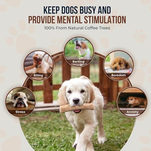 Coffee Wood Dog Chews 7.5" & Dog Rope Toys 100% Natural for Teething, Stress Relief, Dental Health, Organic Toys - Size S - size: Small