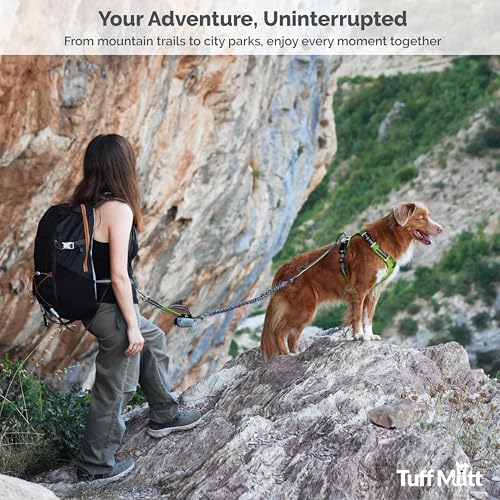Tuff Mutt Hands-Free Waist Leash for Dog Walking, Running and Hiking, Adjustable Belt with Double Handle, Reflective Bungee Design for Large & Medium Dogs - color: gray/teal