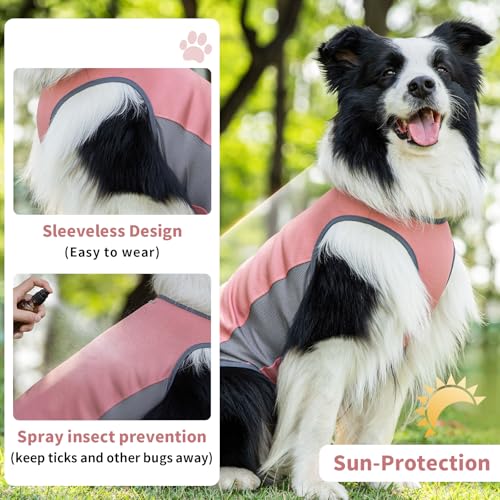 Dog Shirt, Cooling Vest Lightweight Breathable, Dog T-Shirts All-Season UV Protection Pet Clothes Quick Dry Soft Stretchy Pet Shirt Vest for Small Medium Large Dogs (Brier Rose 1PC, Small) - color: Brier Rose, size: Small (18-24lbs)