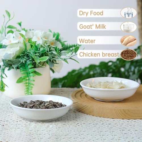 HAPPY KIT 2pcs Little Cat Bowls,5Inch Cat Food Bowl for Indoor Cats,Cute Kittens Plate/Dish/Dishes Set with Non-Slip Relief of Whisker Fatigue for Kitten - Microwave and Dishwasher Safe - color: Kitten pattern