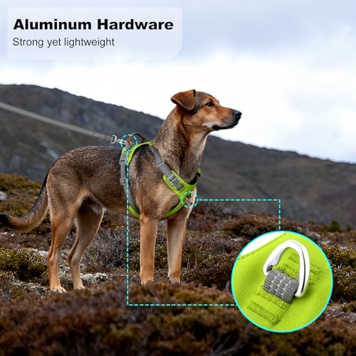 No Pull Dog Harness – Adjustable Reflective Nylon Vest for Small Medium Large Dogs, Escape Proof Training Harness with Leather Control Handle, Lightweight Aluminum Hardware (Green, S) - color: Green, size: S