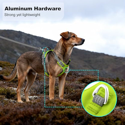 No Pull Dog Harness – Adjustable Reflective Nylon Vest for Small Medium Large Dogs, Escape Proof Training Harness with Leather Control Handle, Lightweight Aluminum Hardware (Green, M) - color: Green, size: M