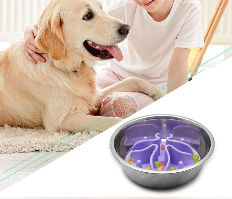 Slow Feeder for Dog Cat Puppy, Silicone Pet Feeder Insert with Strong Suction Cups, Medium, Purple - color: Lavander, size: Medium 4.7 inchs