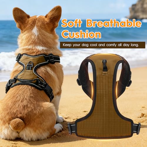 No Pull Dog Harness, No Chock Reflective Adjustable Soft Padded Pet Vest with Easy Control Handle, Easy Wearing with Stylish, Reinforced Knot, 2 Buckles - color: Brown, size: X-Small