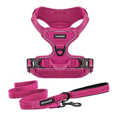 Voyager Dog Harness Dual Leash Attachment No-Pull Control Adjustable Soft but Strong Pet Harness for Medium and Large Dogs with 3M Reflective Technology, Leash Set Fuchsia Nylon, L (Chest: 25-30") - color: Leash Set Fuchsia Nylon, size: L (Chest: 25 - 30"