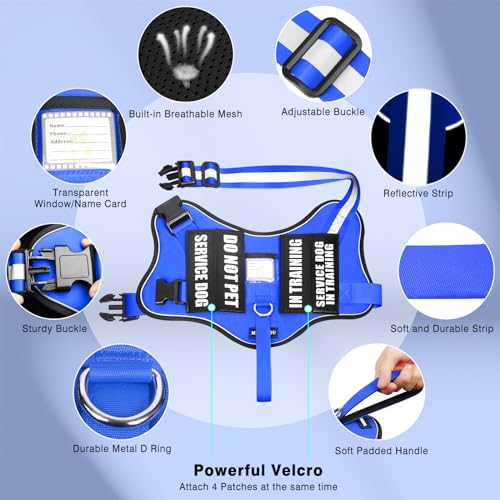 Service Dog Vest Harness and Leash Set+10 Patches,No Pull&Easy Walk Reflective Dog Harness with Soft Padded Handle for Training/Everyday,Fit Small/Medium/Large/Extra-Large Dogs (Blue XL) - color: Blue, size: Extra-large