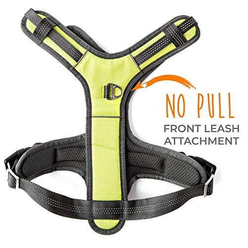 Mighty Paw Sport Harness 2.0 - Padded Canine Accessory - Adjustable Neck and Chest Straps - Enhanced Visibility with Reflective Stitching - Dog Padded Harness with Handle - Large - Green - color: Green