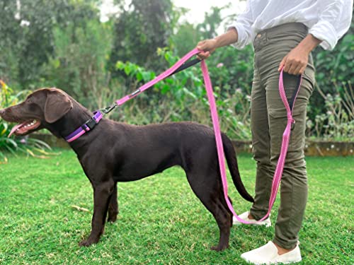 Tuff Pupper Heavy Duty Double Handle Leash | Twist Locking Carabiner Clip | Safety Lock for Strong Dogs | Reflective for Safe Night Walks | 6 Foot Leash for Medium & Large Dogs - color: Hot Pink