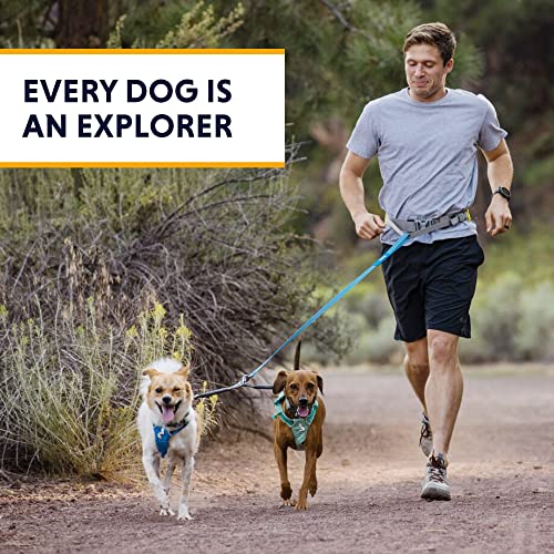 Ruffwear, Double Track Coupler, Double Leash for Two Dogs, Premium Heavy Duty Dual Splitter with 360° Lockable Swivel No Tangle, Shock-Absorbing Stretch Webbing for Walking & Hiking, Basalt Gray
