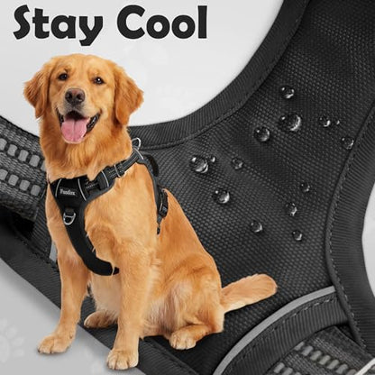 Funfox Dog Harness Small Sized Dog, Vertical Handle Easy Control, No Pull Pet Vest Adjustable with 2 Leash Clips, Soft Material, Reflective Safe Night Walking for Small Medium Large Breed, Black, S - color: Black, size: Small