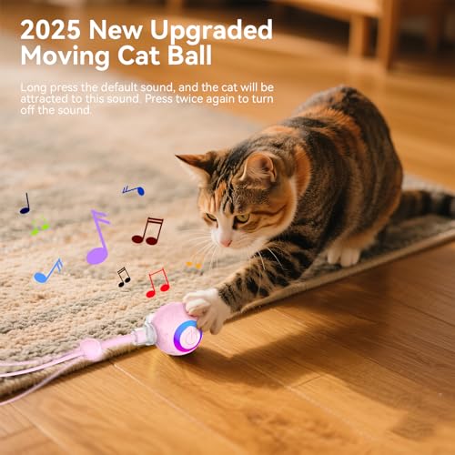 Smart Interactive Cat Dog Toys, Automatic Pet Toys for Bored Indoor Cats and Dogs, Motion Activated, USB Rechargeable, Christmas Pet Birthday Gifts (Pink) - color: Pink